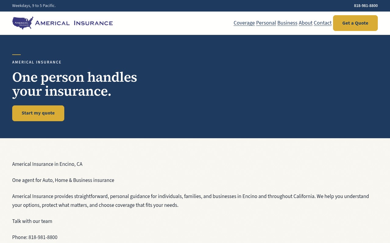 Americal Insurance live website homepage